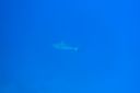 Filename=DSC00041.JPG
Filesize=421KiB
Dimensions=1280x853
Date added=Dec 28, 2019 DSC00041.JPG