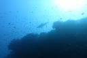 DSC00052.JPG