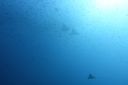 DSC00061.JPG