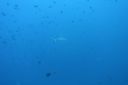 DSC00080.JPG