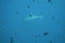 DSC00086.JPG
