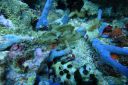 DSC00088.JPG