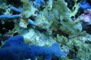 DSC00089.JPG