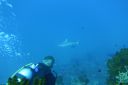 DSC00091.JPG