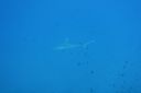 DSC00094.JPG