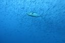 DSC00108.JPG