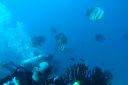 DSC00109.JPG