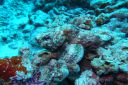 DSC00116.JPG