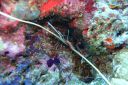 DSC00211.JPG