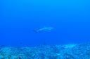 DSC00213.JPG
