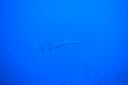 DSC00216.JPG