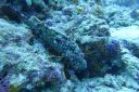 DSC00224.JPG