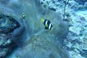 DSC00229.JPG