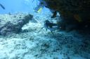 DSC00232.JPG