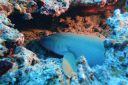 DSC00234.JPG