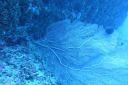 DSC00254.JPG