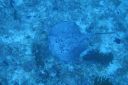 DSC00257.JPG