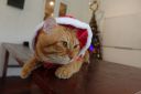 Dateiname=DSC00351.JPG
Dateigröße=605KB
Abmessungen: 1280x853
hinzugefügt am: 28. Dezember 2019 DSC00351.JPG