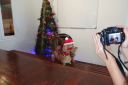 Dateiname=DSC00352.JPG
Dateigröße=718KB
Abmessungen: 1280x853
hinzugefügt am: 28. Dezember 2019 DSC00352.JPG