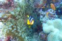 DSC00375.JPG