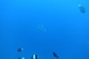 DSC00376.JPG