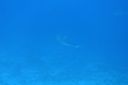 DSC00378.JPG