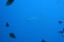DSC00385.JPG