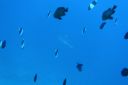 DSC00389.JPG