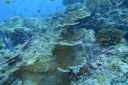 DSC00395.JPG