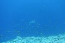 DSC00418.JPG