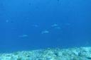 DSC00428.JPG