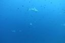 DSC00456.JPG