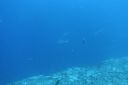DSC00474.JPG