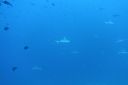 DSC00476.JPG