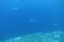 DSC00480.JPG