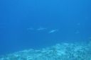 DSC00482.JPG