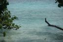 DSC00587.JPG