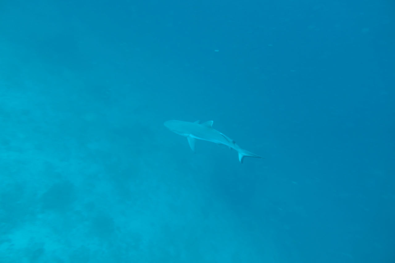 DSC00014.JPG