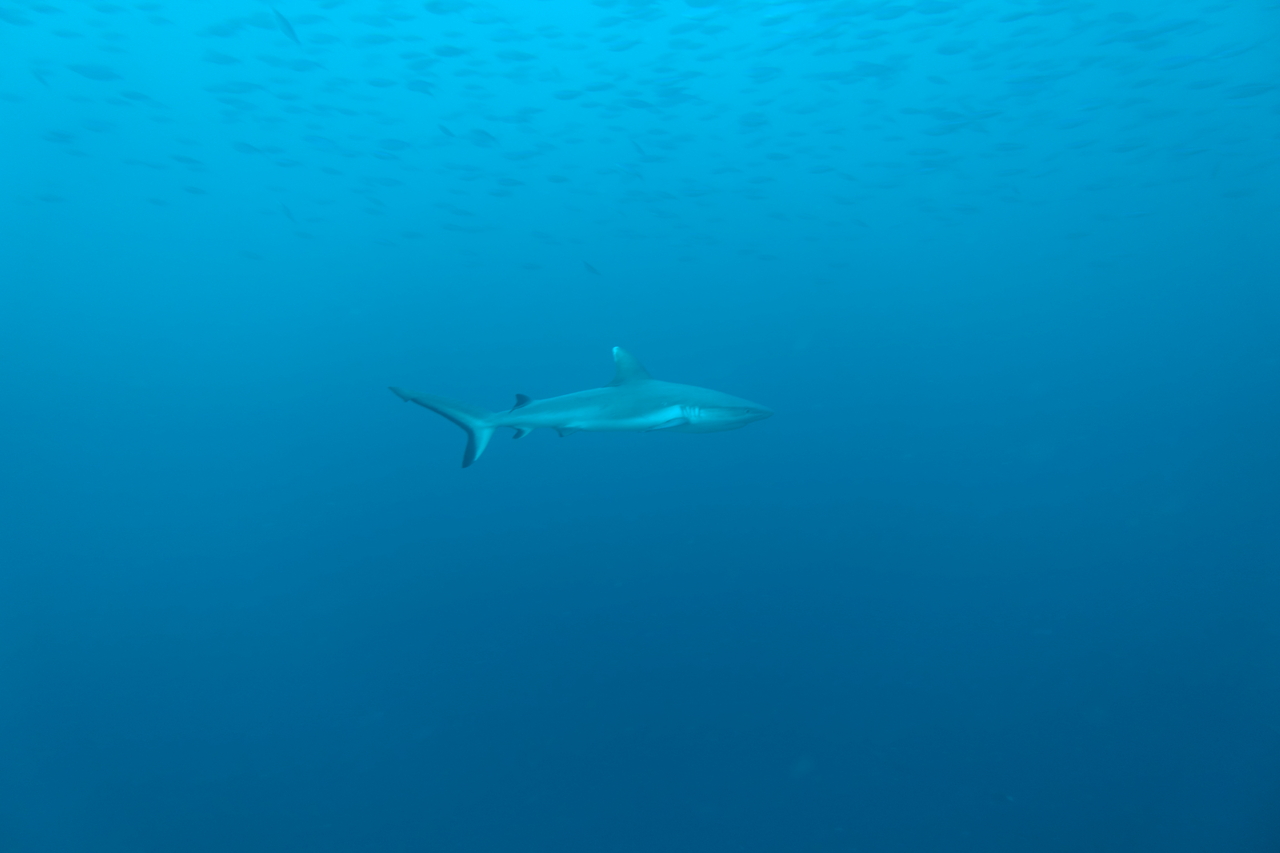 DSC00023.JPG