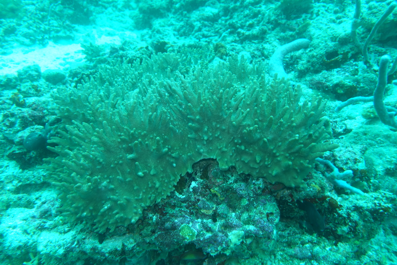 DSC00074.JPG
