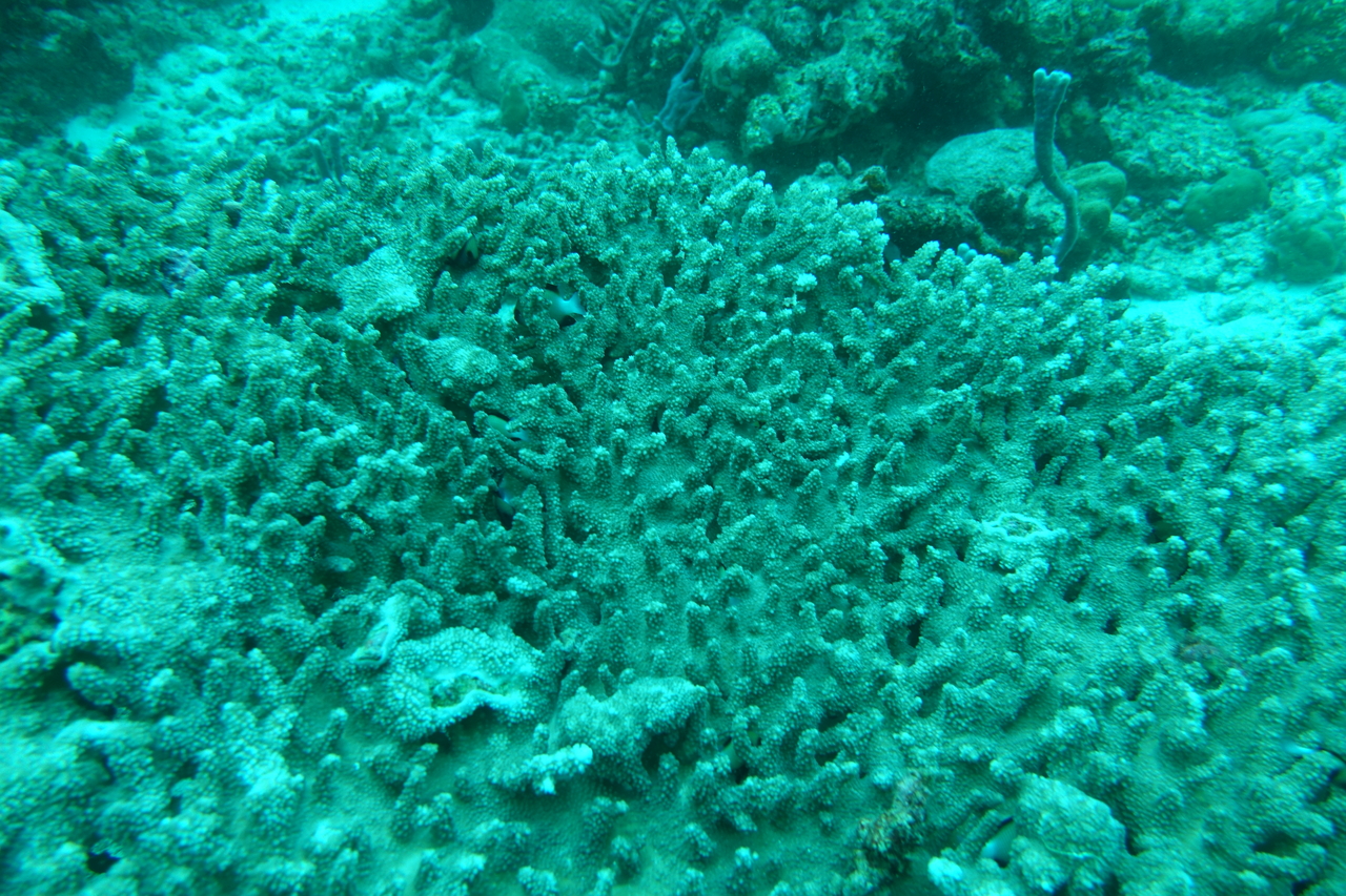 DSC00079.JPG