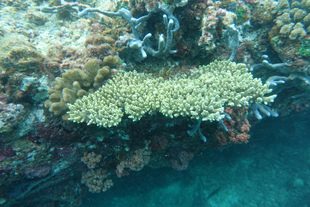 DSC00080.JPG