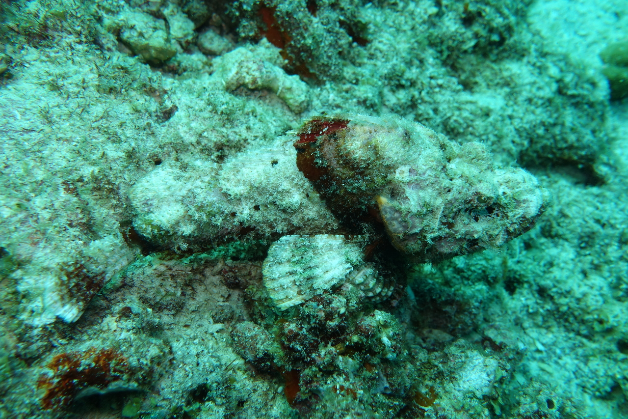 DSC00088.JPG
