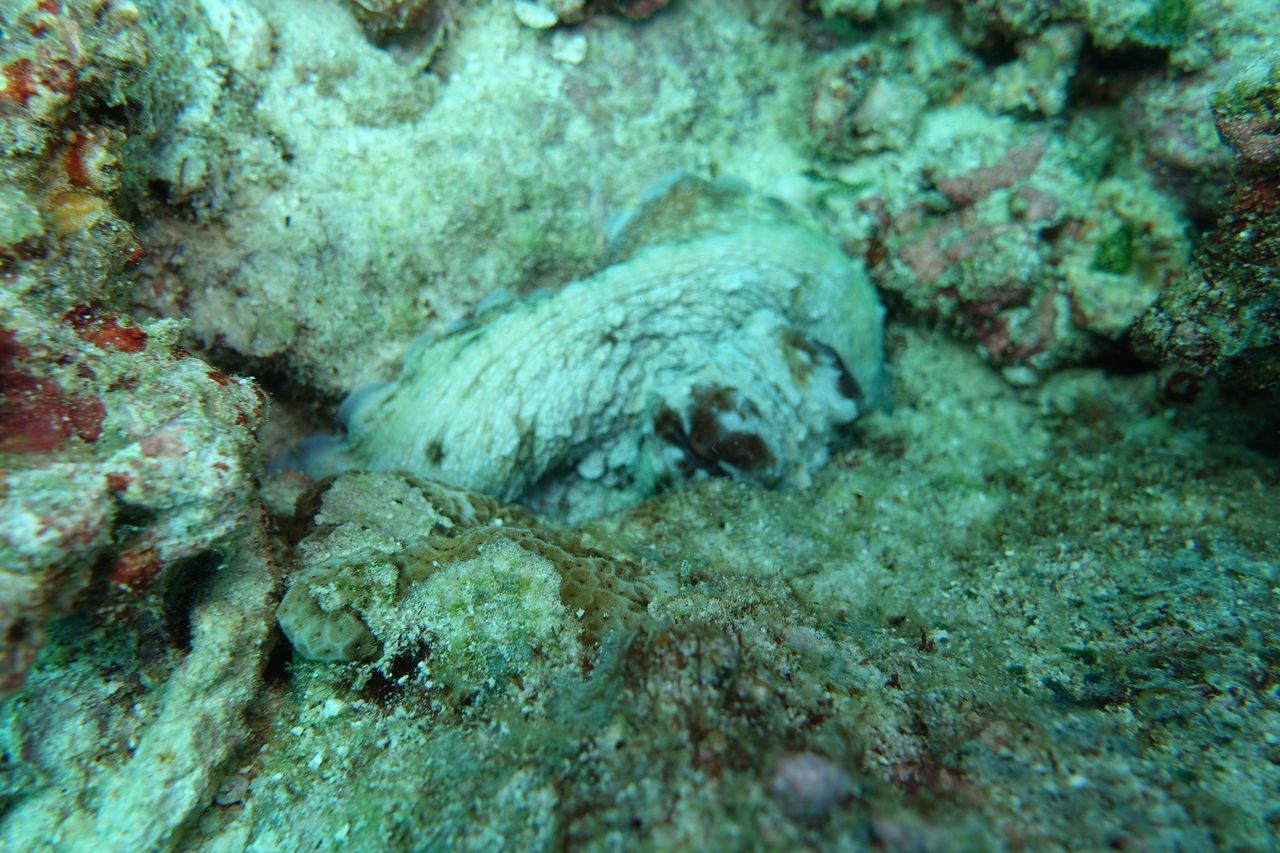 DSC00094.JPG