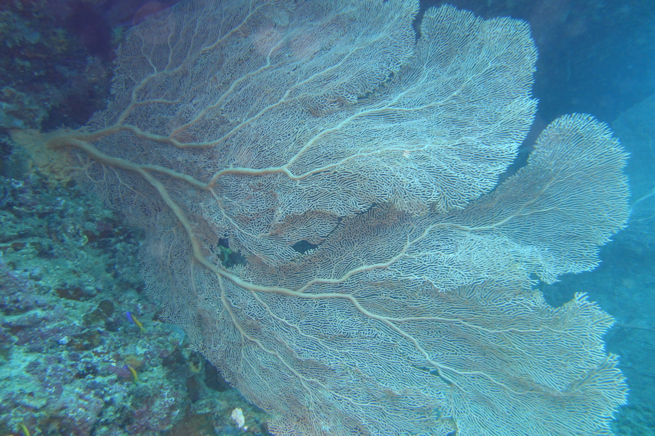 DSC00179.JPG