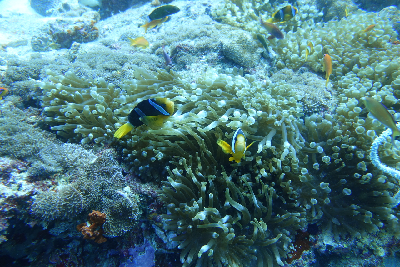 DSC00214.JPG