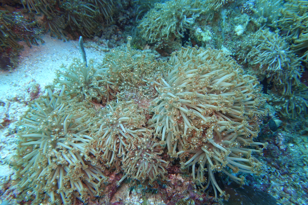 DSC00244.JPG