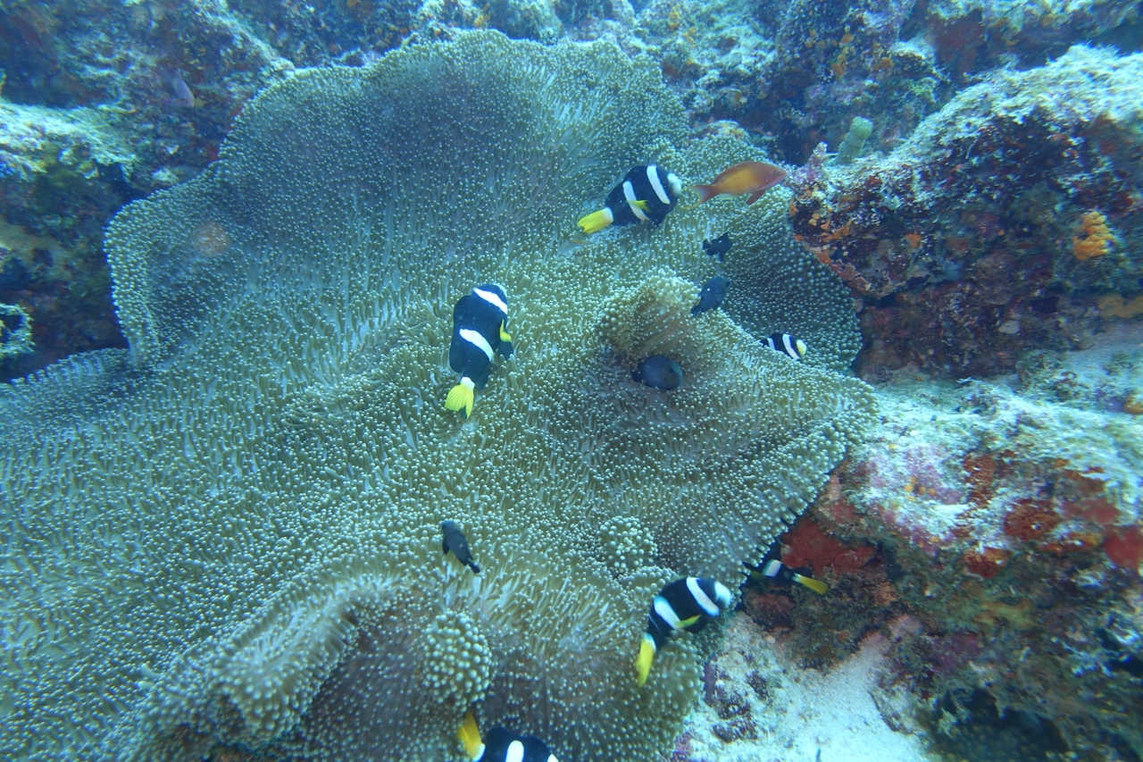 DSC00274.JPG
