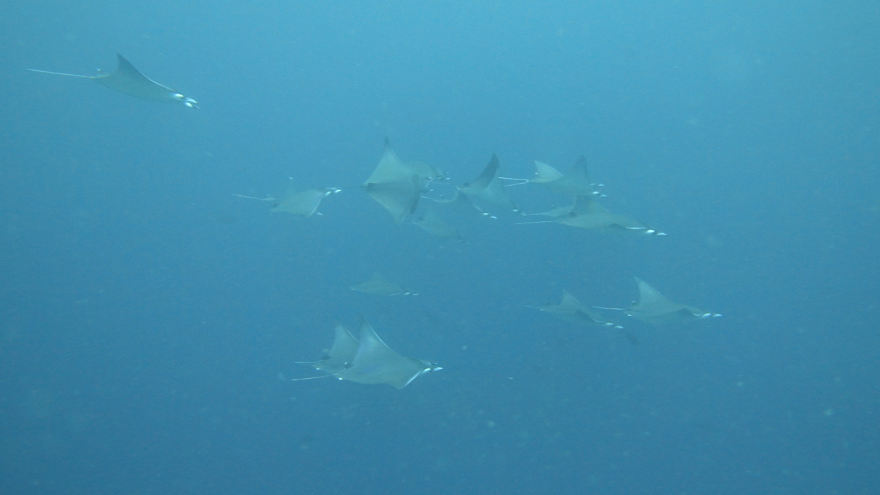 DSC00280.JPG