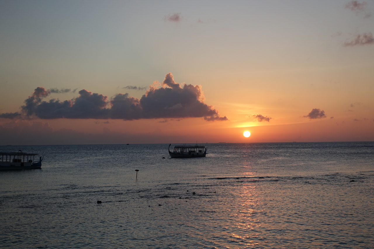 DSC00314.JPG